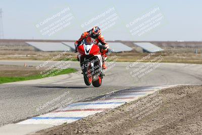 media/Feb-21-2025-Lets Ride (Fri) [[f483f33afd]]/Race Group/12pm (Wheelie Bump)/